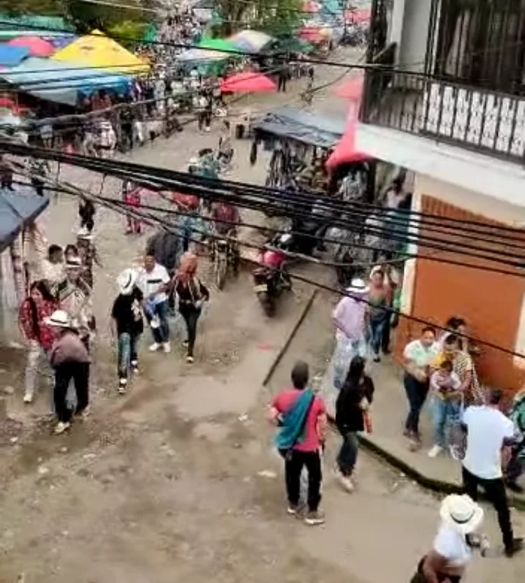 Guerrilla en el Cauca