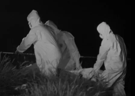 Cuatro hombres asesinados en zona boscosa de Mocoa