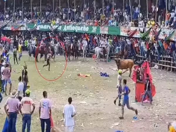 Cuando el hombre iba a ponerle un par de banderillas al toro, este lo embistió por el abdomen provocándole graves heridas. 