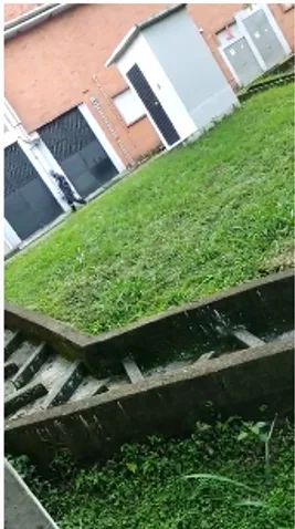en la buitrera y