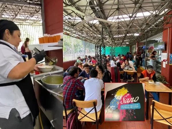 "Almuerzo Solidario": iniciativa del restaurante Arte Sano para brindar respaldo nutricional a artistas y estudiantes de Cali
