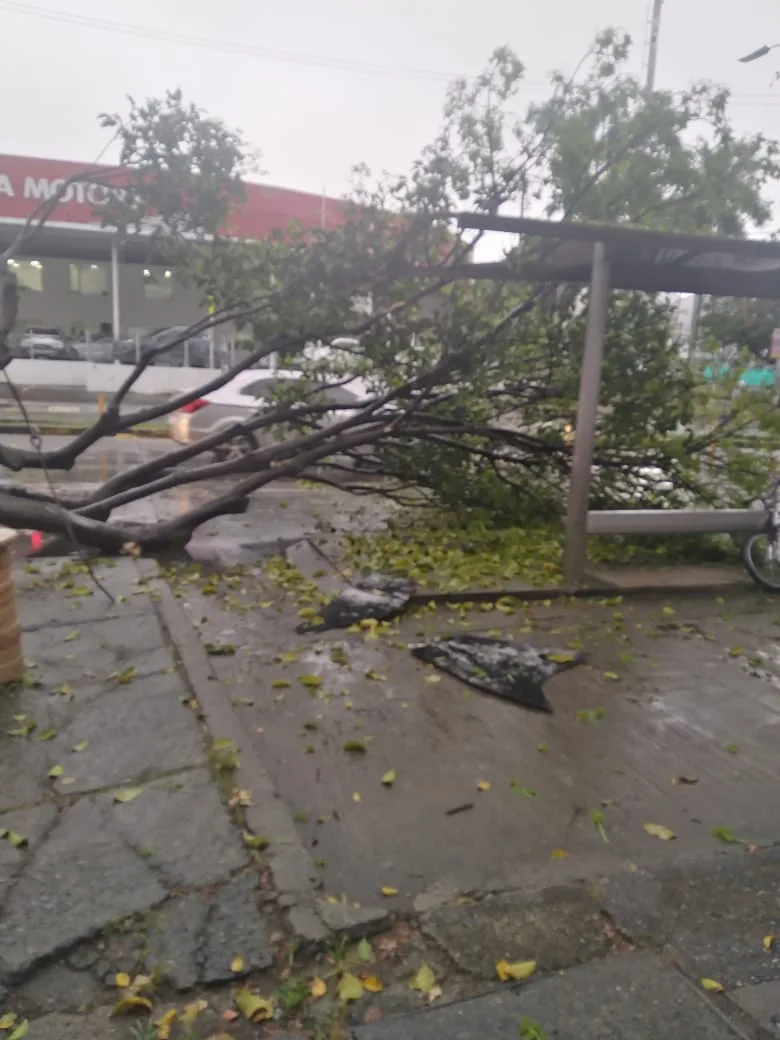 lluvias en cali
