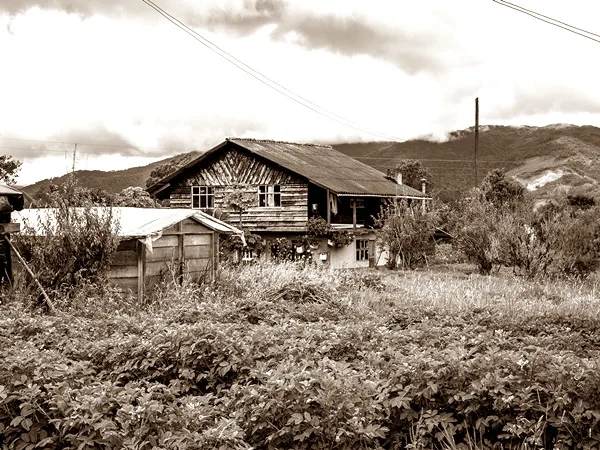 En Pasto: lo condenaron a 20 años de cárcel por asesinar a su pareja, pero está prófugo