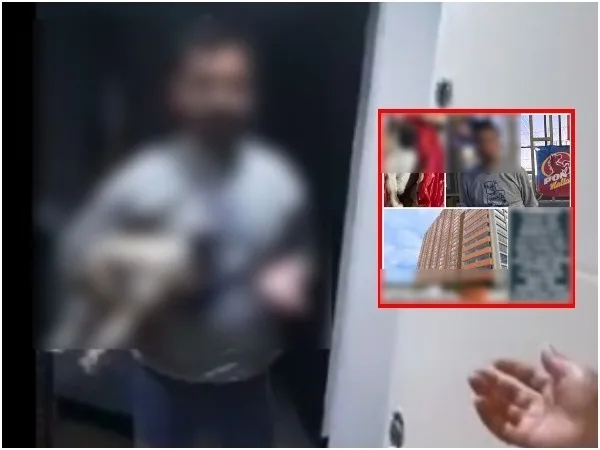 "La mató, el h$% la mató": Gritos de desespero en Bogotá, vecino habría atacado a golpes a su mascota y murió