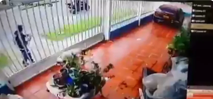 perro en bogotá