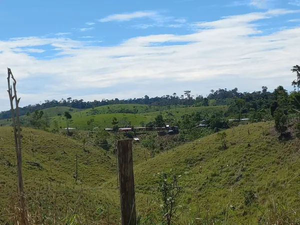 Cuatro Jóvenes Antioquia