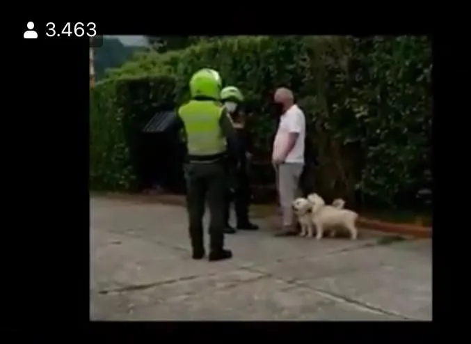 familia Ibagué