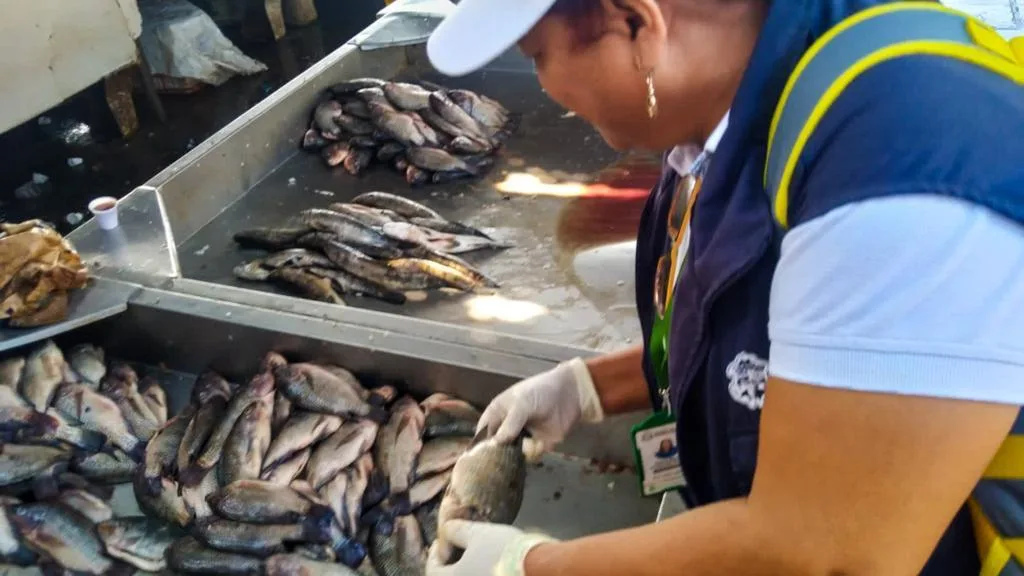 Los productos pesqueros que más se exportan en Colombia a propósito de la llegada de Semana Santa.