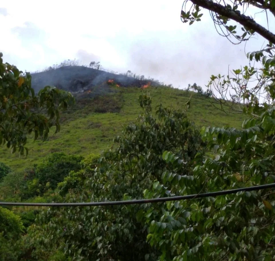 valle del cauca