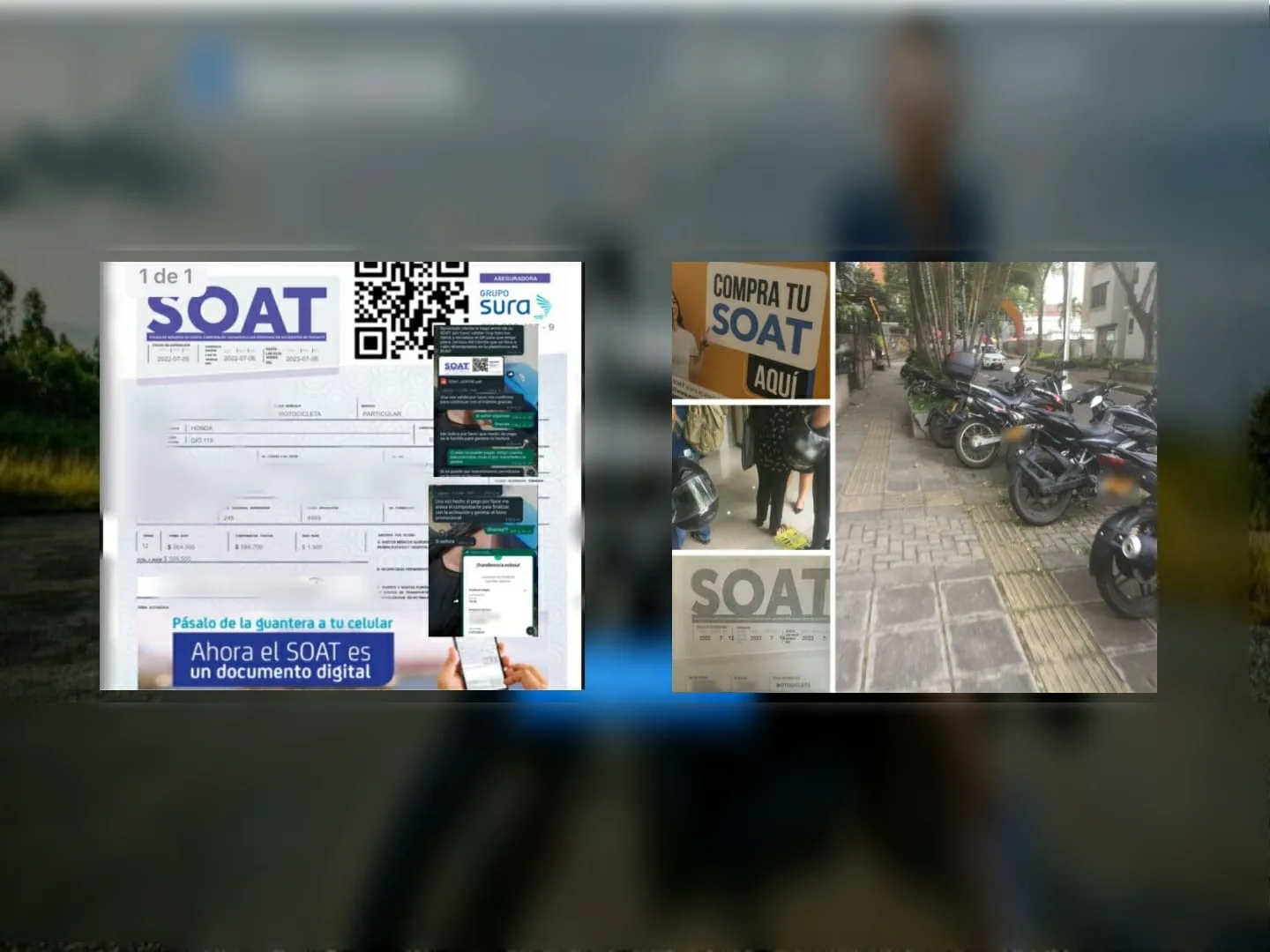 "Ofrecen descuentos de $200 mil", pagan y "después desaparecen": Otra denuncia por estafa de SOAT en Cali