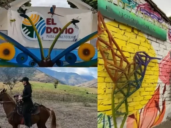 Desde cascadas, cabalgatas y piscinas naturales: Planes para hacer en El Dovio, Valle