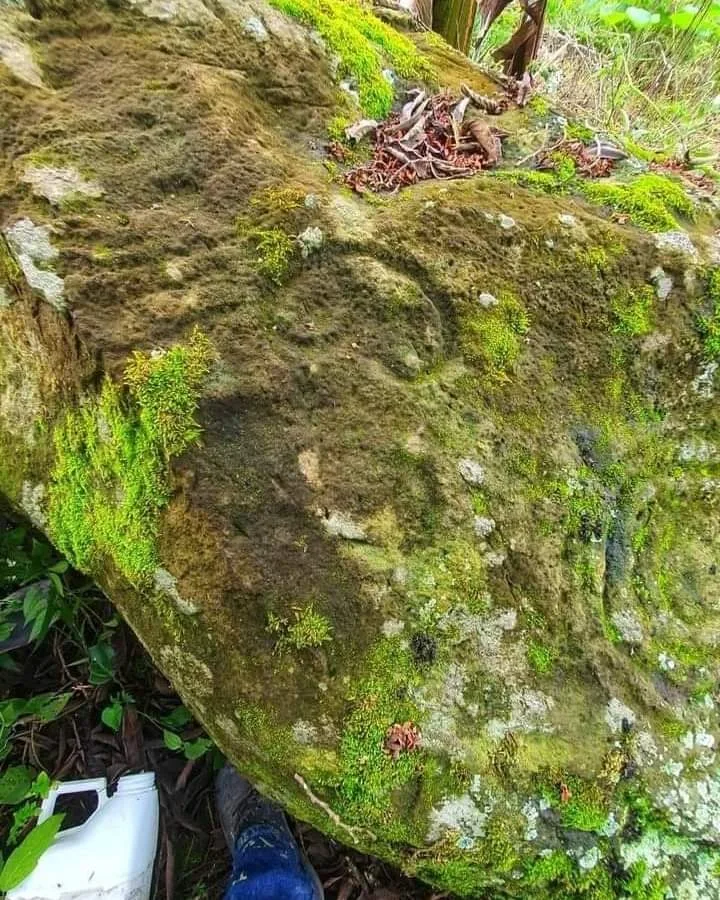 Hallazgo arqueológico Huila