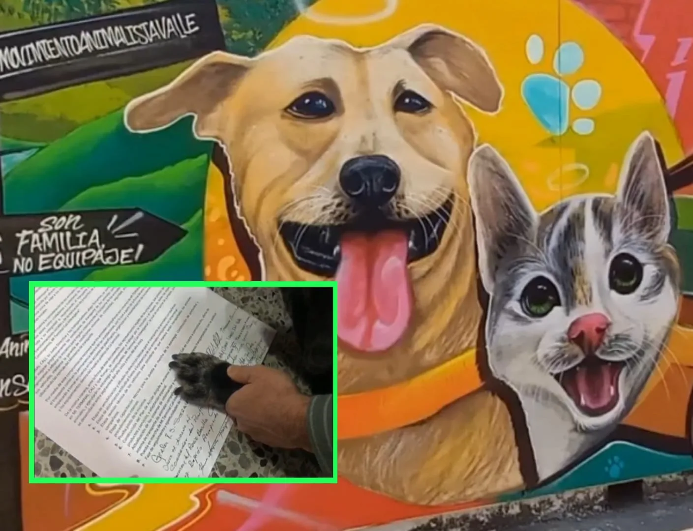 Planean frenar traumatismos con el transporte de mascotas en la Terminal de Cali