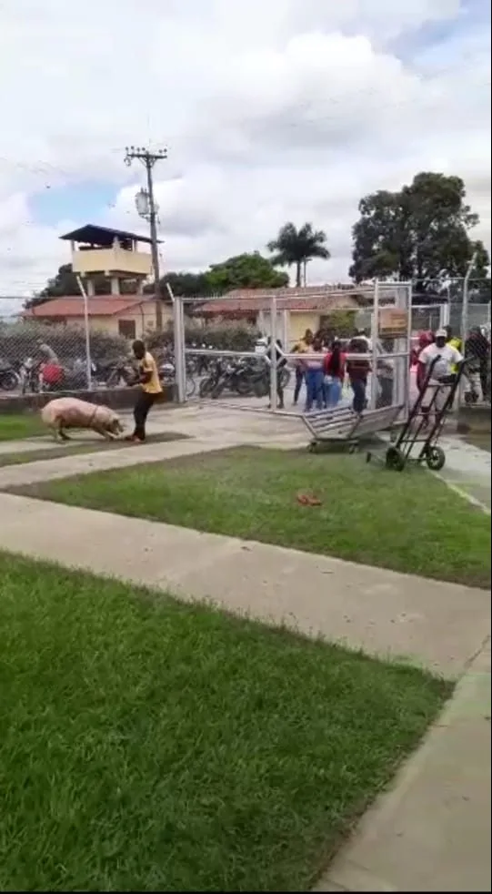 Agroporcícola La Holanda