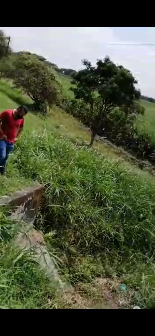 en tuluá