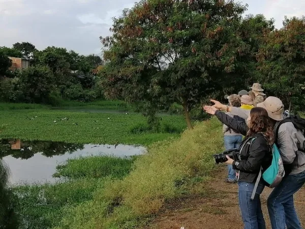 Cali biodiversa : los espacios verdes de Cali para caminar y conectar con la naturaleza
