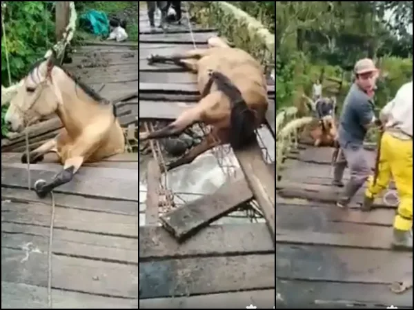 de Tuluá
