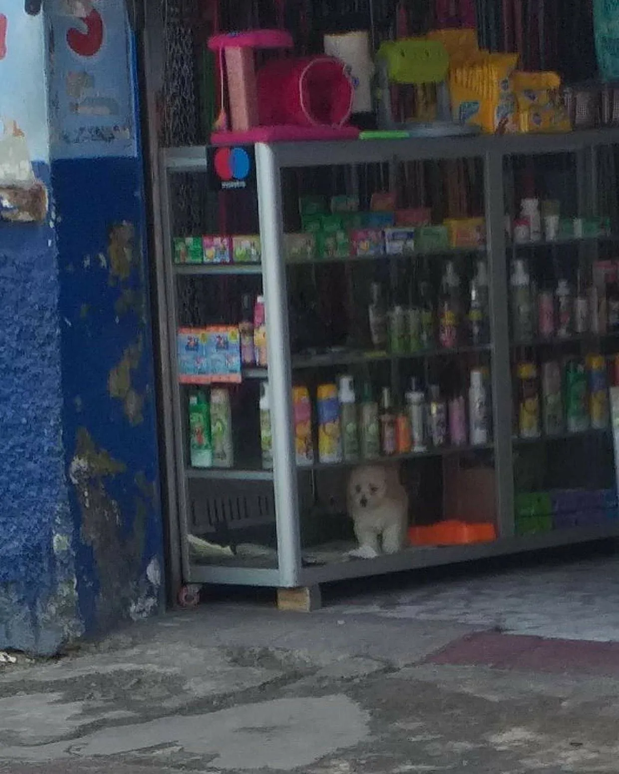 en palmira