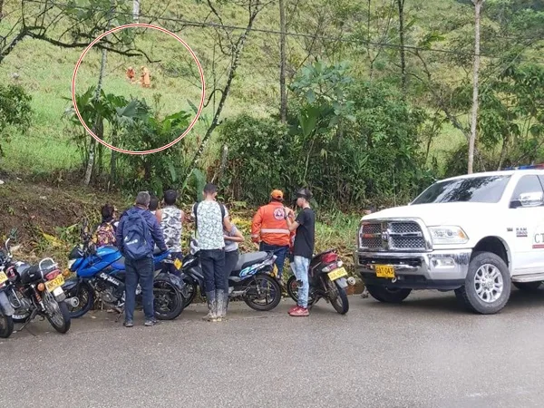 Ganadero que estaba desaparecido fue hallado sin vida, lo habrían atacado abejas africanas