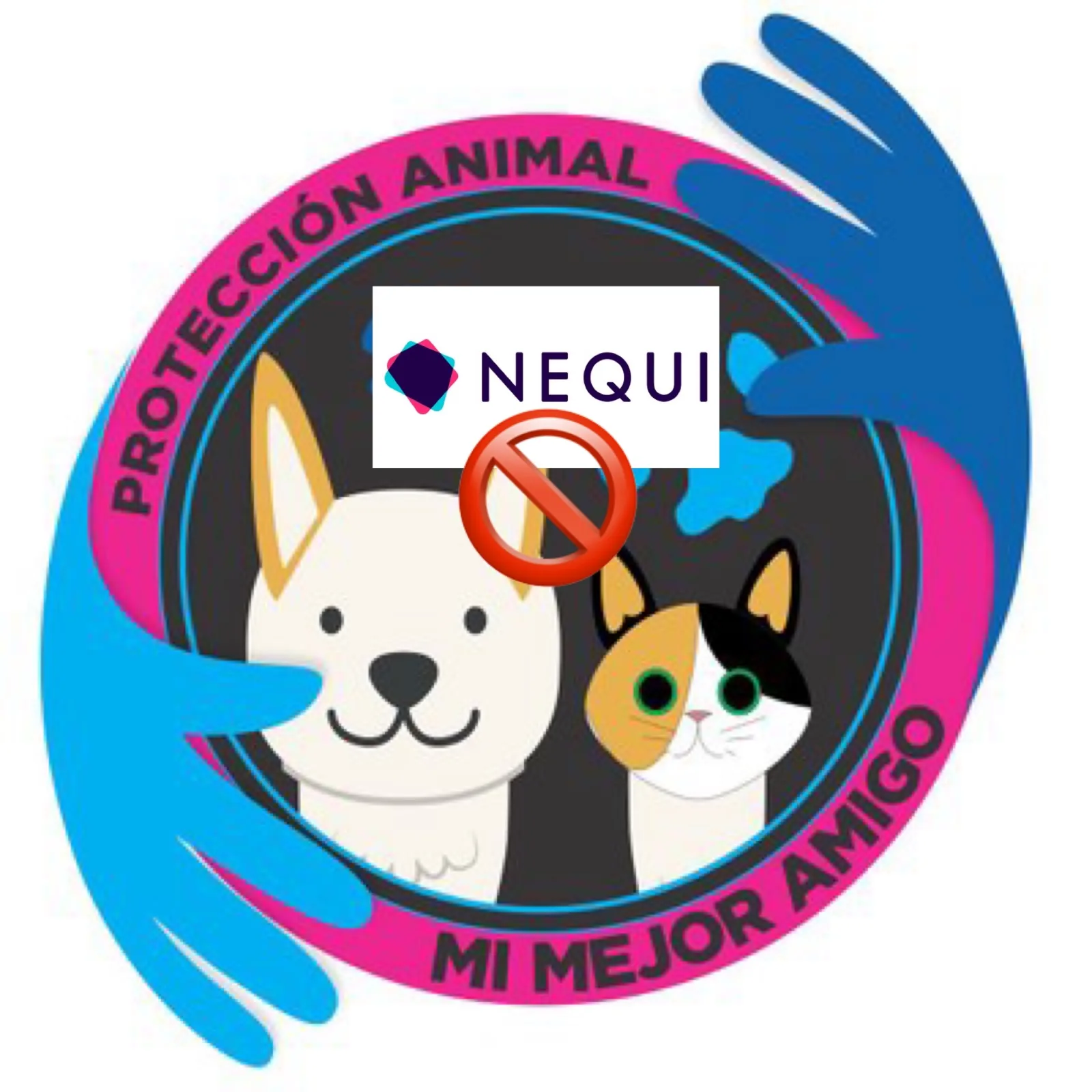'Mi Mejor Amigo' la asociación de protección animal
