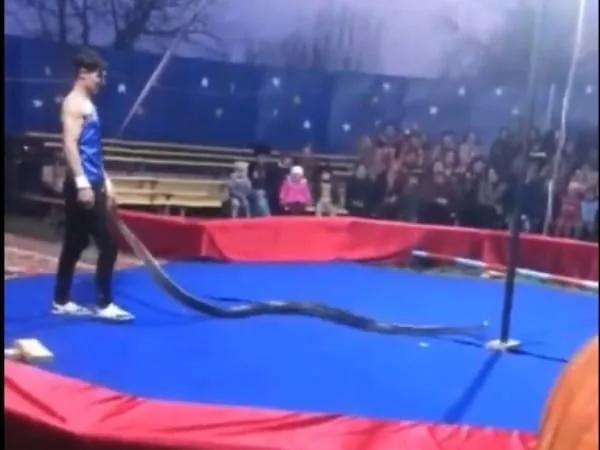 Artista de circo muere trágicamente durante su show y frente al público