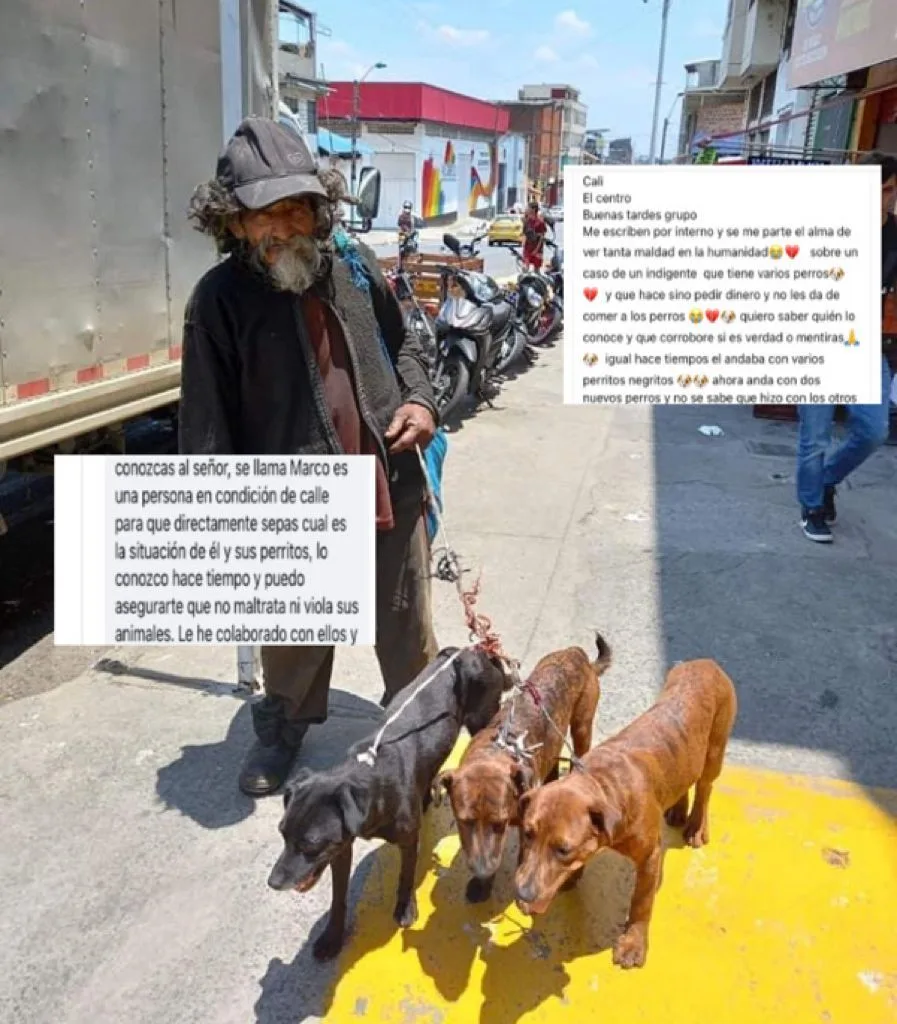 don Marco y sus perros