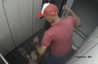 perro
