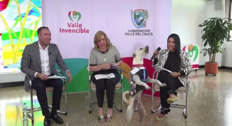 Víctimas, jóvenes y hasta mascotas podrán tener financiamiento de esta nueva entrega de Valle INN