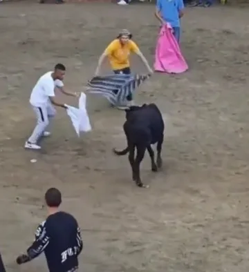 Denuncian maltrato animal en medio de unas corralejas en Fredonia, Antioquia