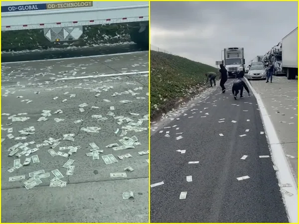 En California a un furgón blindado se le salieron los billetes y la gente en la vía se bajó a recogerlos