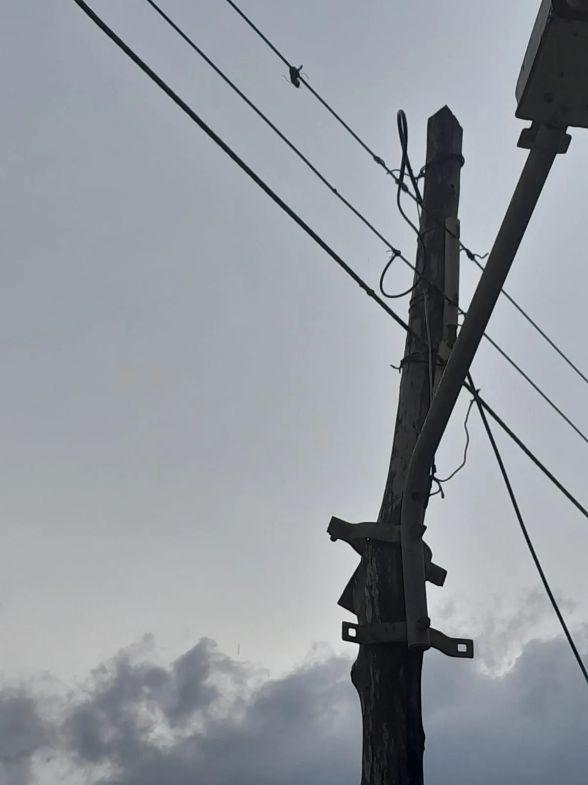 En la vereda Tubaraima en Puerto Velero, denuncian el mal estado en la que se encuentran los postes de energía