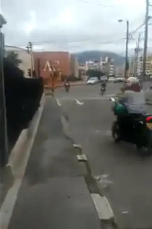 en pasto
