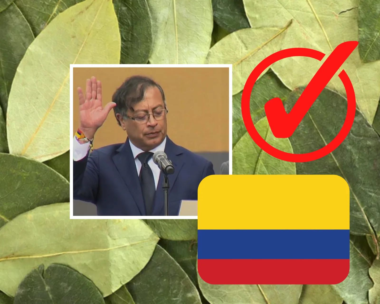 Colombia cocaína