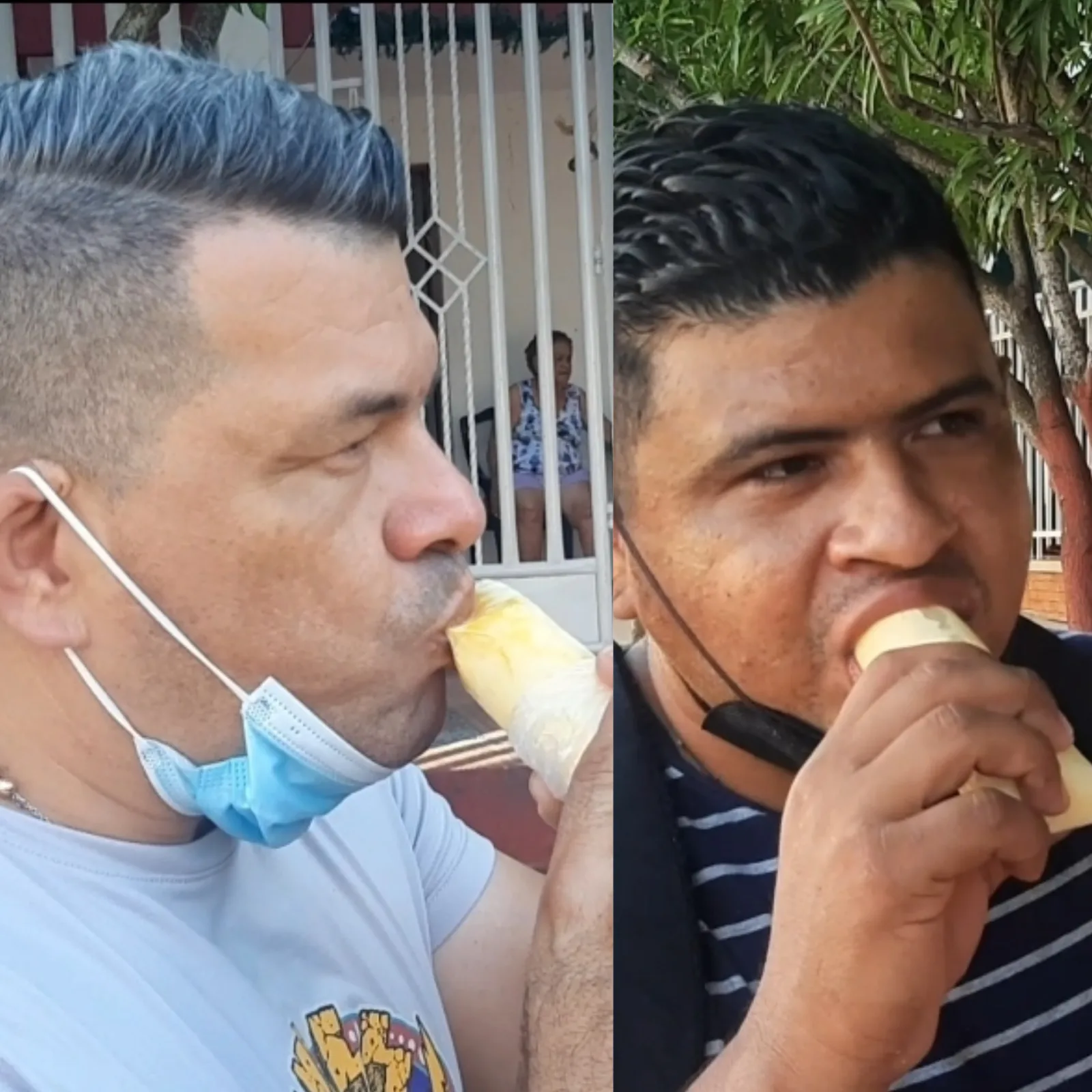 Bolis
