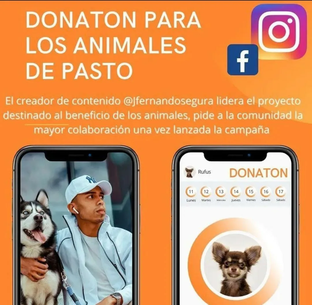 Gran donaton por los animales de Pasto liderada pro Fernando Segura