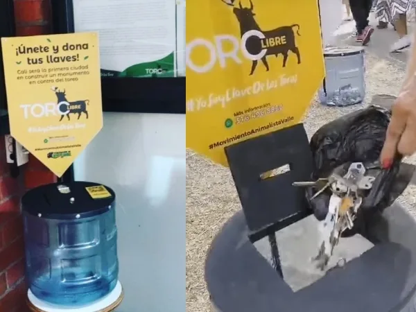"Toro libre" el proyecto que busca crear un monumento antitoreo con Llaves en Cali