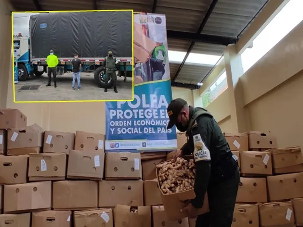 Por contrabando decomisaron 10 toneladas de alimentos perecederos en trochas Nariño