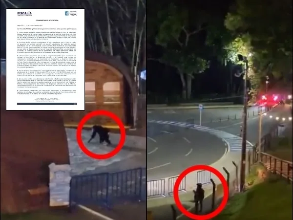Del caso de los chimpancés Pancho y Chita: archivan investigación contra policías