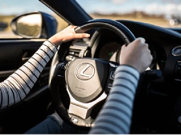 Licencia de conducción para primerizos.