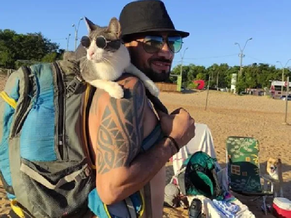 Gato Mochilero Bella Creación