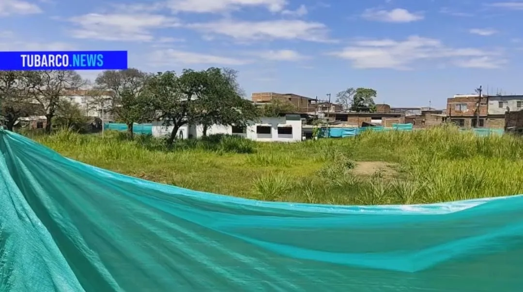 "No queremos dinero, queremos nuestras viviendas": proyecto Alicante que no se dio de la constructora Cosenza