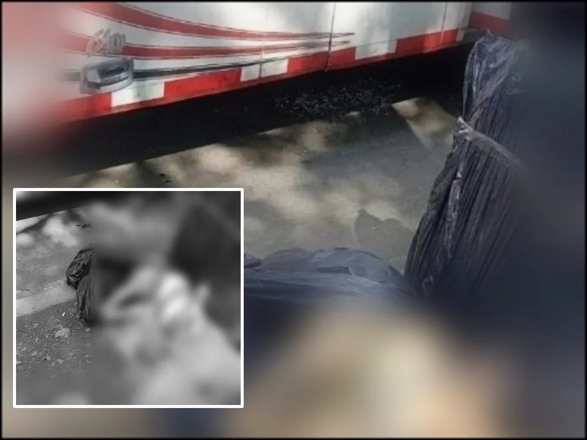 "19 horas viajando y el perro en una bodega": Denuncian que otra mascota murió dentro de un bus que llegó a Cali