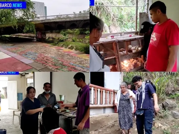 "Transforman vidas y espacios" : fundaciones ayudan a personas que habitan calle y aportan al medio ambiente en Cali