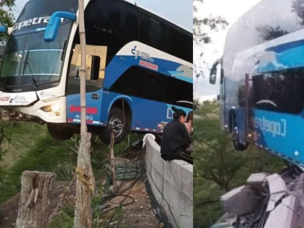 bus intermunicipal