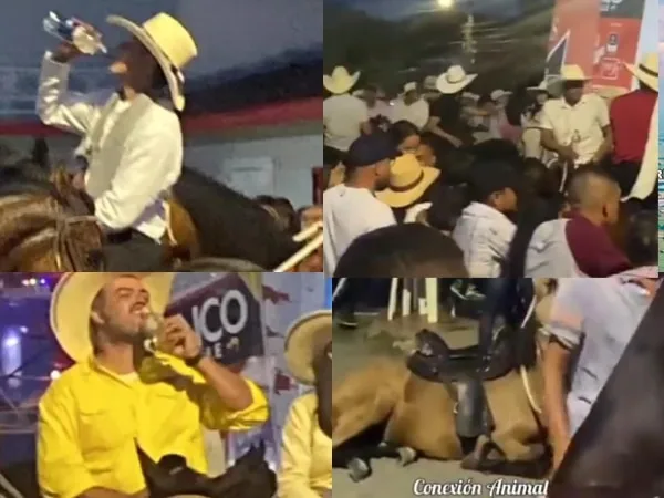 Polémica en Andalucía, Valle: Cabalgata con" Permisos" deja un caballo exhausto y denuncian consumo de licor entre los jinetes