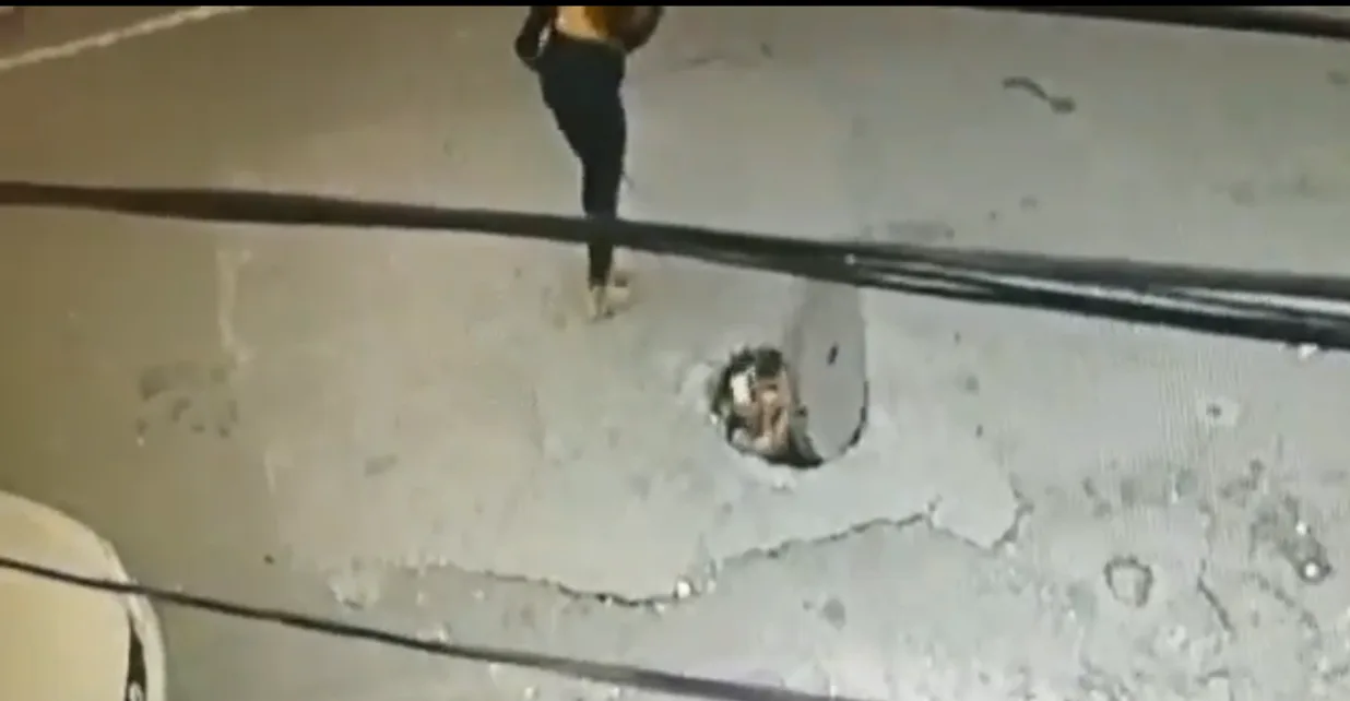 centro de Cali