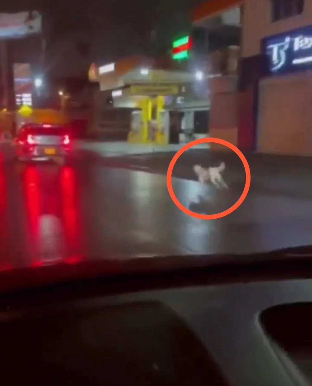 Lagaña policía Cali