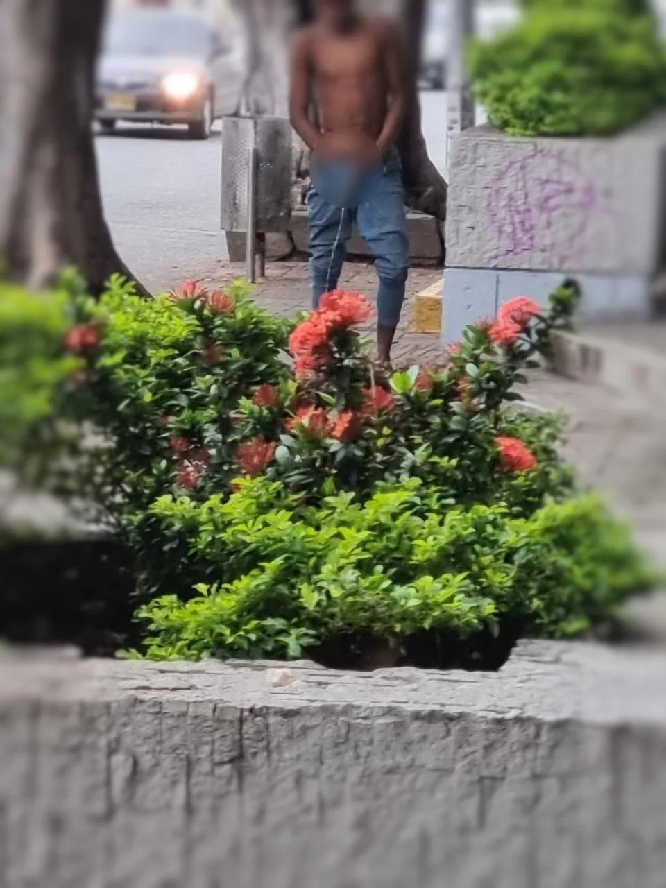 granada en cali