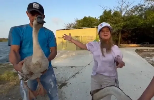 "He pedido que retiren las aves del Lago del Cisne", gobernadora del Atlántico se disculpó