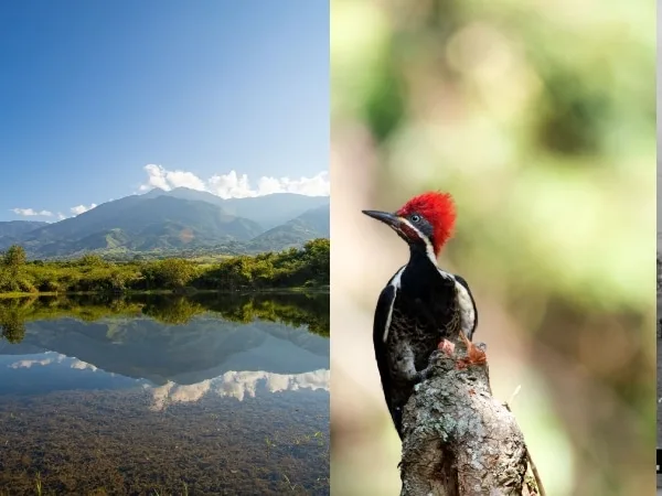 Parque ecológico en el Valle del Cauca protege la cuenca del río Amaime; conozca cómo puede visitarlo